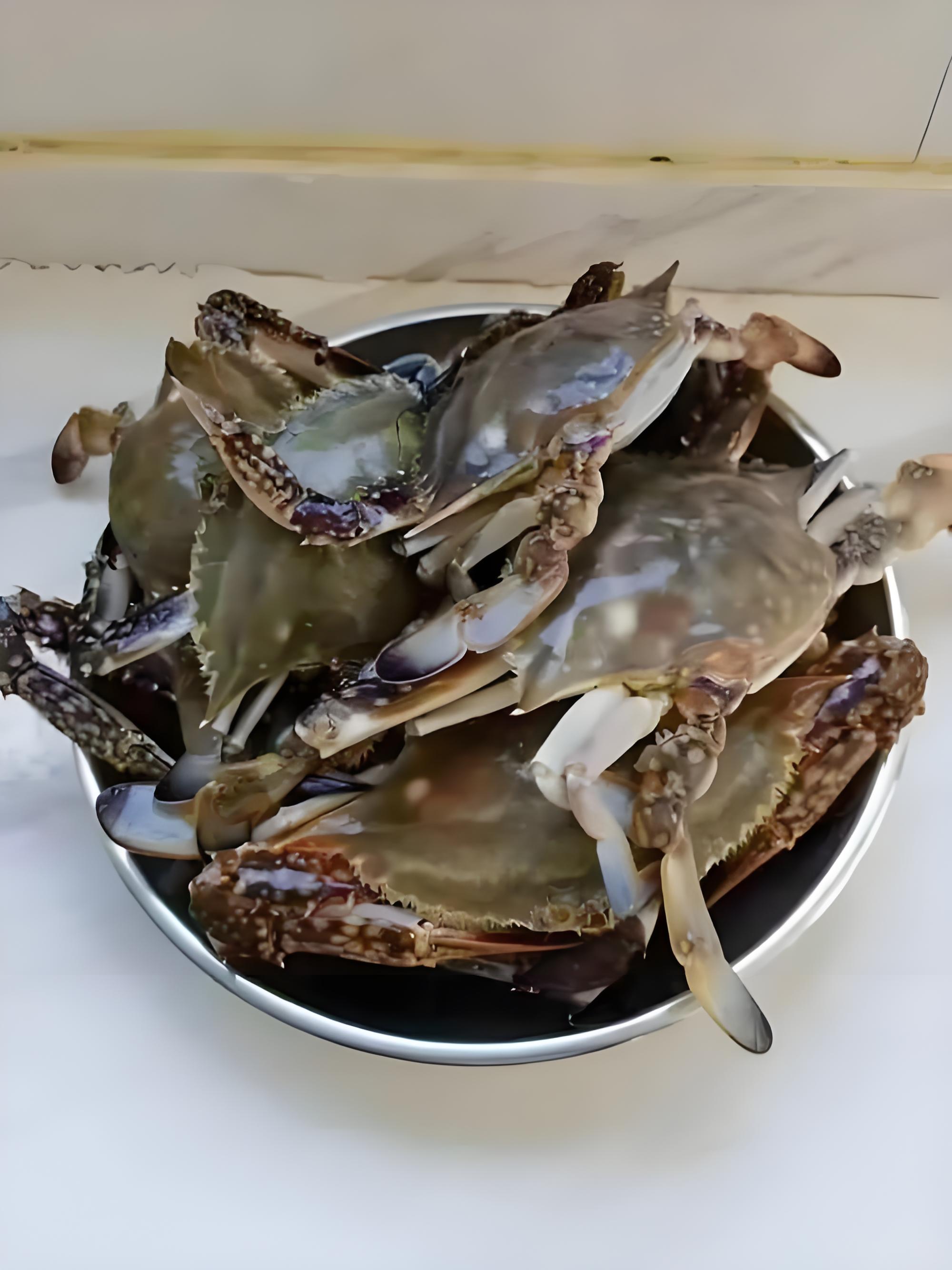 梭子蟹